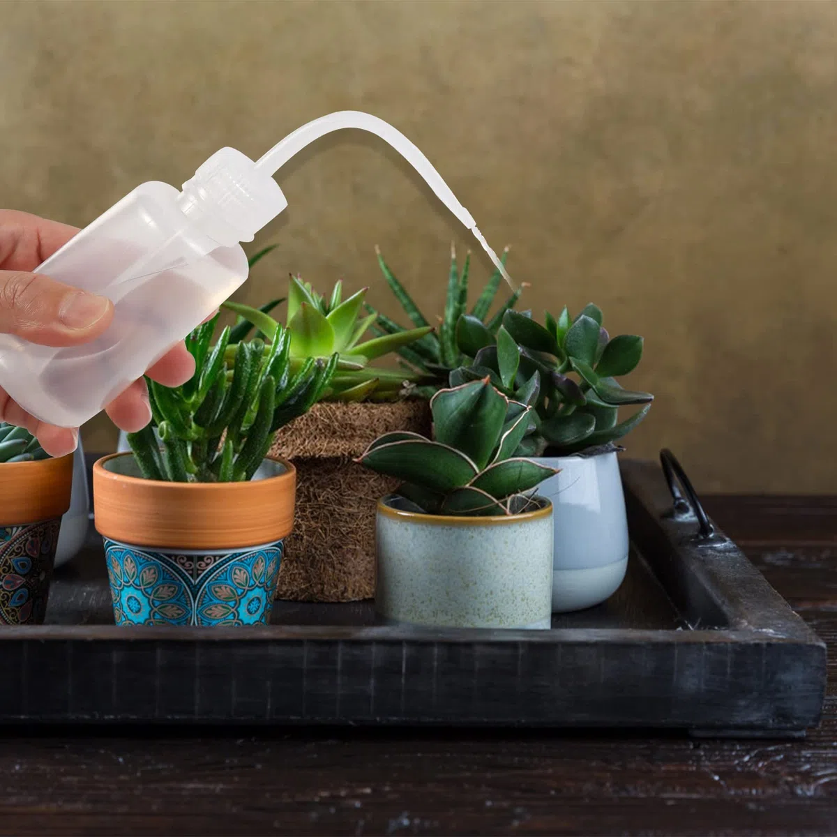 Bottiglia di plastica spremibile, 500 ml, 16 oz, bottiglia di sicurezza per innaffiare le ciglia, con etichette in scala per la pulizia medica delle piante grasse (confezione da 3)